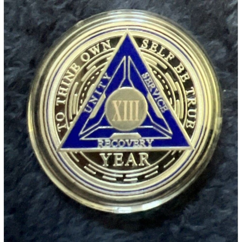 13 XIII Year Sobriety Coin - Silver Roman Numeral NA AA Coins Recovery Chip